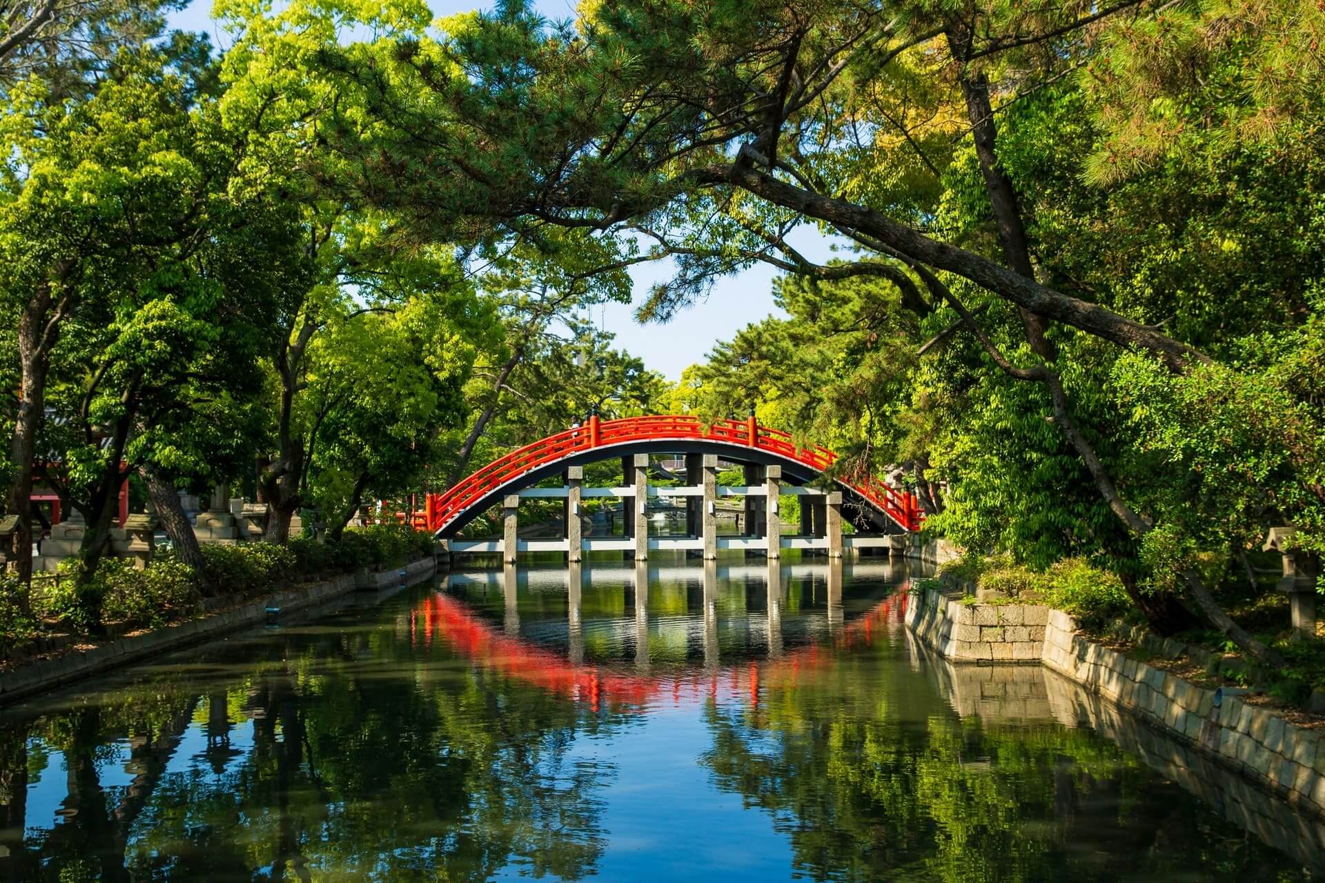 桜の画像1